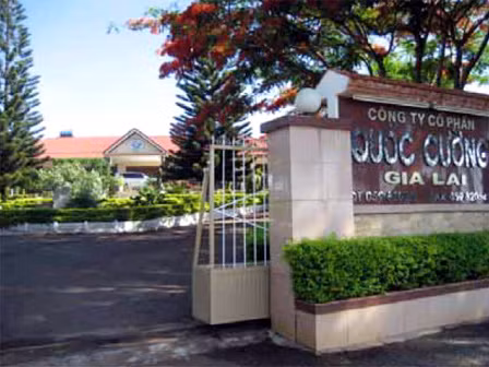 Đằng sau vụ lùm xùm Quốc Cường Gia Lai