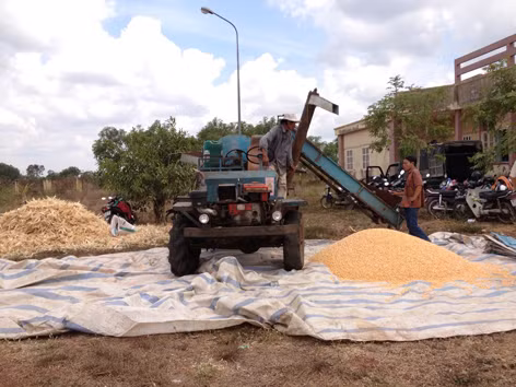 Máy tách hạt tại Đồng Nai