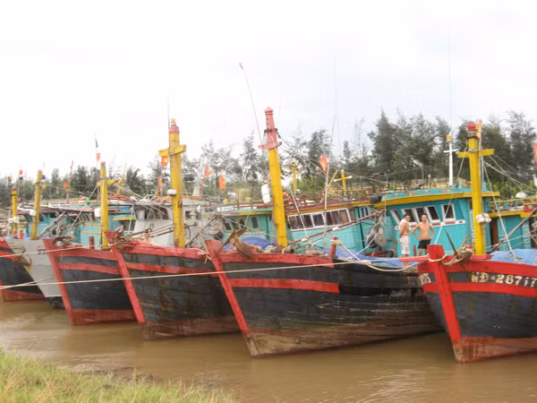Chi 180 tỷ để ra khơi là trúng mùa