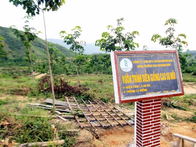 'Lá bùa' chủ trương