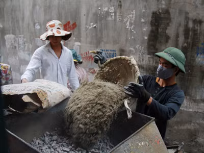 Những sinh viên 'phu hồ'