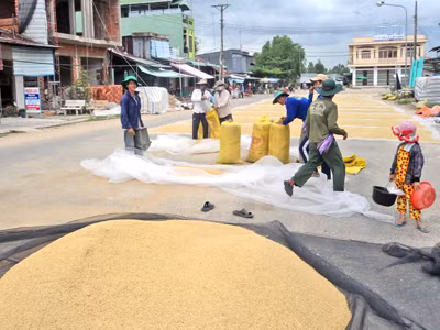 Quyết không để con làm ruộng