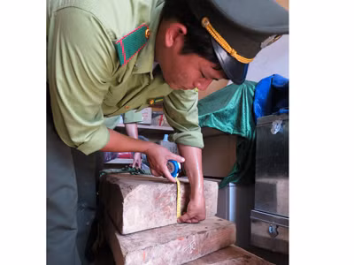 Vụ 3 cây sưa nghìn tỷ: Hé lộ lãnh đạo kiểm lâm lấy gỗ của lâm tặc