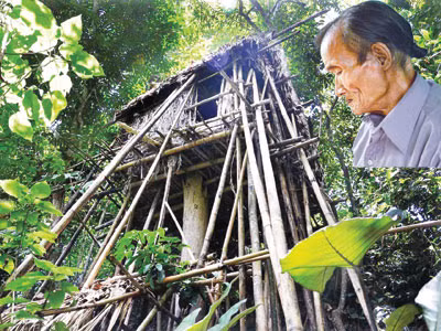 Theo vết 'người rừng'
