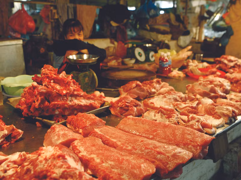Người nuôi heo điêu đứng