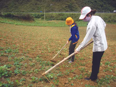 Những thửa ruộng nhấp nhô và đầy đá sỏi không đủ nuôi sống gia đình chị Hồng và người dân Chày Lập