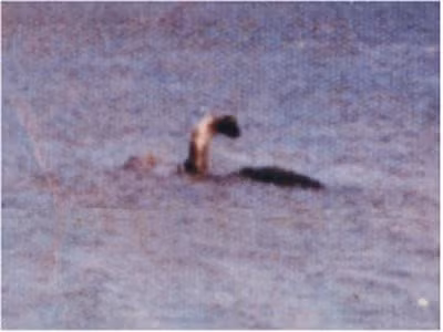 Những 'họ hàng' của quái vật hồ Loch Ness
