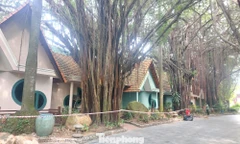 Cận cảnh hàng chục căn villa khu resort ở TPHCM bị phong tỏa vì nứt tường, sập trần