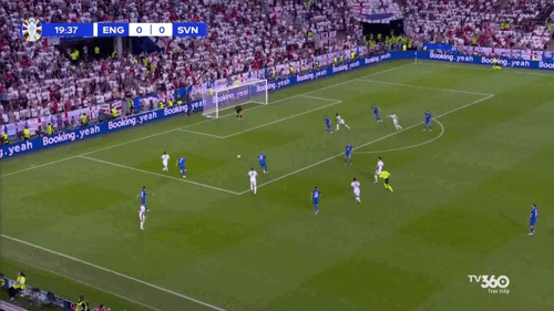  Slovenia ăn mừng khi cầm hoà Anh ảnh 17