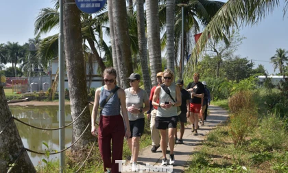 Khách Tây 'ăn Tết' sớm ở Cồn Sơn