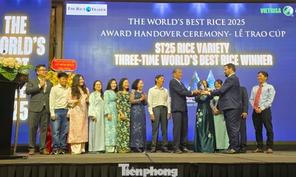 Gạo ST25 của Việt Nam xứng đáng ngon nhất thế giới