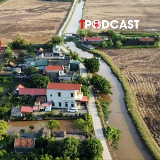 Đất không giấy tờ sẽ được cấp sổ đỏ nếu đáp ứng những điều kiện?