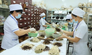 Bộ Y tế đang dự thảo Thông tư hướng dẫn hoạt động của y học cổ truyền trong cơ sở khám bệnh, chữa bệnh nhằm xây dựng hành lang pháp lý hướng dẫn các cơ sở khám bệnh, chữa bệnh thực hiện các hoạt động y học cổ truyền, đảm bảo thực hiện tốt chăm sóc sức khỏe nhân dân. Ảnh: Baochinhphu.vn.