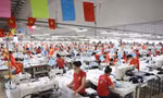 Chênh lệch rất lớn về thưởng Tết ở Quảng Trị 