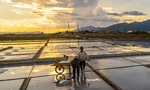 Cánh đồng muối cuối cùng đẹp như tranh ở Quảng Trị 