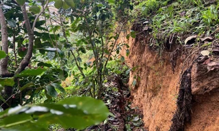 Quả đồi ở Lâm Đồng xuất hiện vết nứt dài hơn 100m, khẩn trương di dời người dân