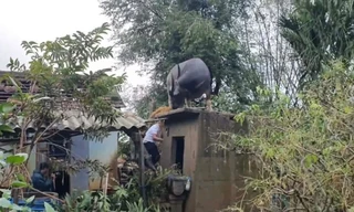 Hy hữu: Trâu 'chờ' chủ trên mái nhà sau lũ