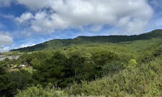 Lâm Đồng phê duyệt quy chế bảo vệ Khu dự trữ sinh quyển thế giới