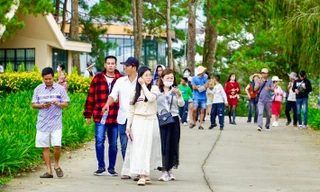 Lâm Đồng, Đắk Lắk có gì đặc biệt mà khách du lịch tìm đến rất đông? 