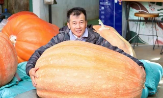 Nhiều người kéo nhau đi xem quả bí ngô siêu to khổng lồ ở Đà Lạt 