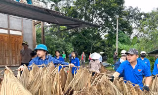 Thanh niên Tuyên Quang cuối tuần chỉnh trang đường làng ngõ xóm