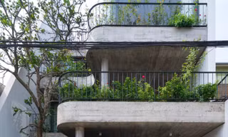 Nhà phố hiện đại kết nối con người và thiên nhiên