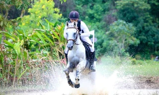 Gay cấn cuộc đua ngựa không chuyên vượt địa hình đầu tiên tại Việt Nam