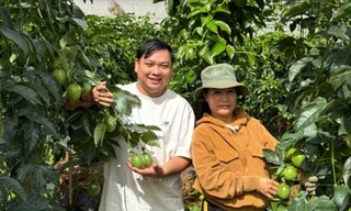 Sức trẻ mở lối chuyển đổi số trên ruộng đồng Đức Trọng