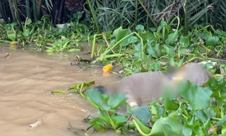 Khu vực phát hiện thi thể người đàn ông.