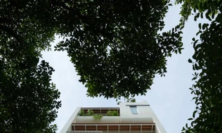 Ngôi nhà sum vầy ba thế hệ giữa ánh sáng và không gian mở