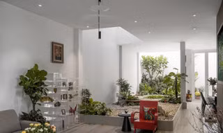 Nhà 3 tầng như villa nghỉ dưỡng giữa phố