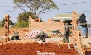 Hối hả dựng 'cột mốc sống' nơi vùng biên Lâm Đồng