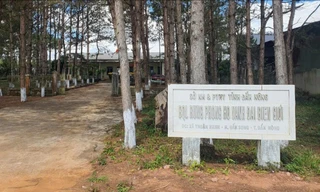 Bắt Phó Giám đốc Ban quản lý rừng phòng hộ vành đai biên giới 