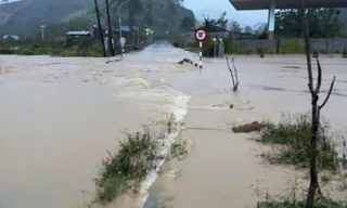 Chủ trại cá tầm bị nước cuốn trôi mất tích