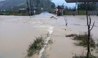 Chủ trại cá tầm bị nước cuốn trôi mất tích