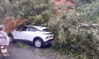 Sạt lở nghiêm trọng trên đèo Ngoạn Mục, Khánh Hòa – Lâm Đồng đồng loạt chốt chặn giao thông 