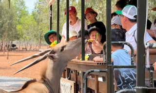 Lâm Đồng thu hút khoảng 75.000 lượt khách quốc tế.