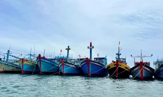 Chủ tịch tỉnh Lâm Đồng chỉ đạo khẩn ứng phó bão số 11