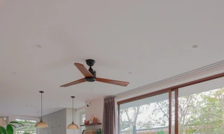 Không gian với góc nhà đầy hoa lá, tràn ngập ánh sáng