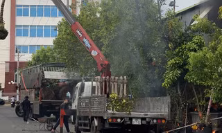 Hiện trường nơi xảy ra sự việc.