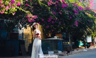 Thỏa thích check-in con đường làng chài Nha Trang rợp màu hoa giấy 