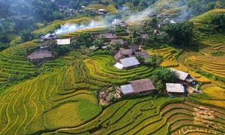 Lúa chín vàng, thơm ngát ở ngôi làng Việt đẹp nhất châu Á