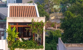 Nhà hình tổ chim: Không gian sống mềm mại giữa phố thị