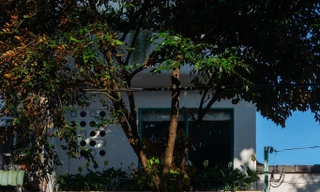 Gia chủ thư thái trong ngôi nhà màu xanh dịu mát 