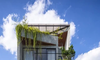 Tối ưu thông gió, ánh sáng, kết nối thiên nhiên cho nhà phố 3 tầng 