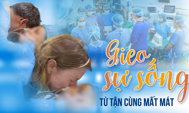 Gieo sự sống từ tận cùng mất mát