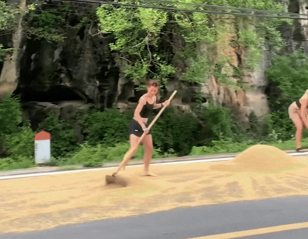 Đây là một trong những trải nghiệm độc đáo mà du khách có thể trải nghiệm khi đến với Ninh Bình. Ảnh cắt clip Đây là một trong những trải nghiệm độc đáo mà du khách có thể trải nghiệm khi đến với Ninh Bình. Ảnh cắt clip