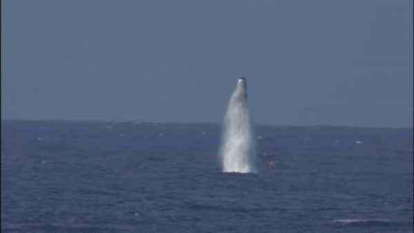 Mỹ phóng thử thành công tên lửa đạn đạo Trident II