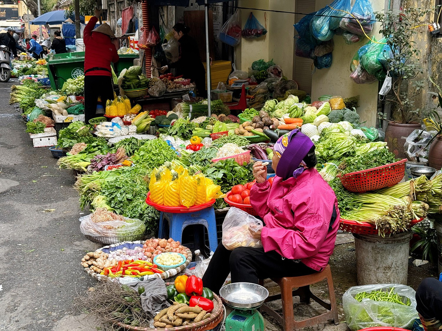 Rau tăng giá, người Hà Nội tự làm giá đỗ, rau mầm, thiết kế bữa ăn '3 ...