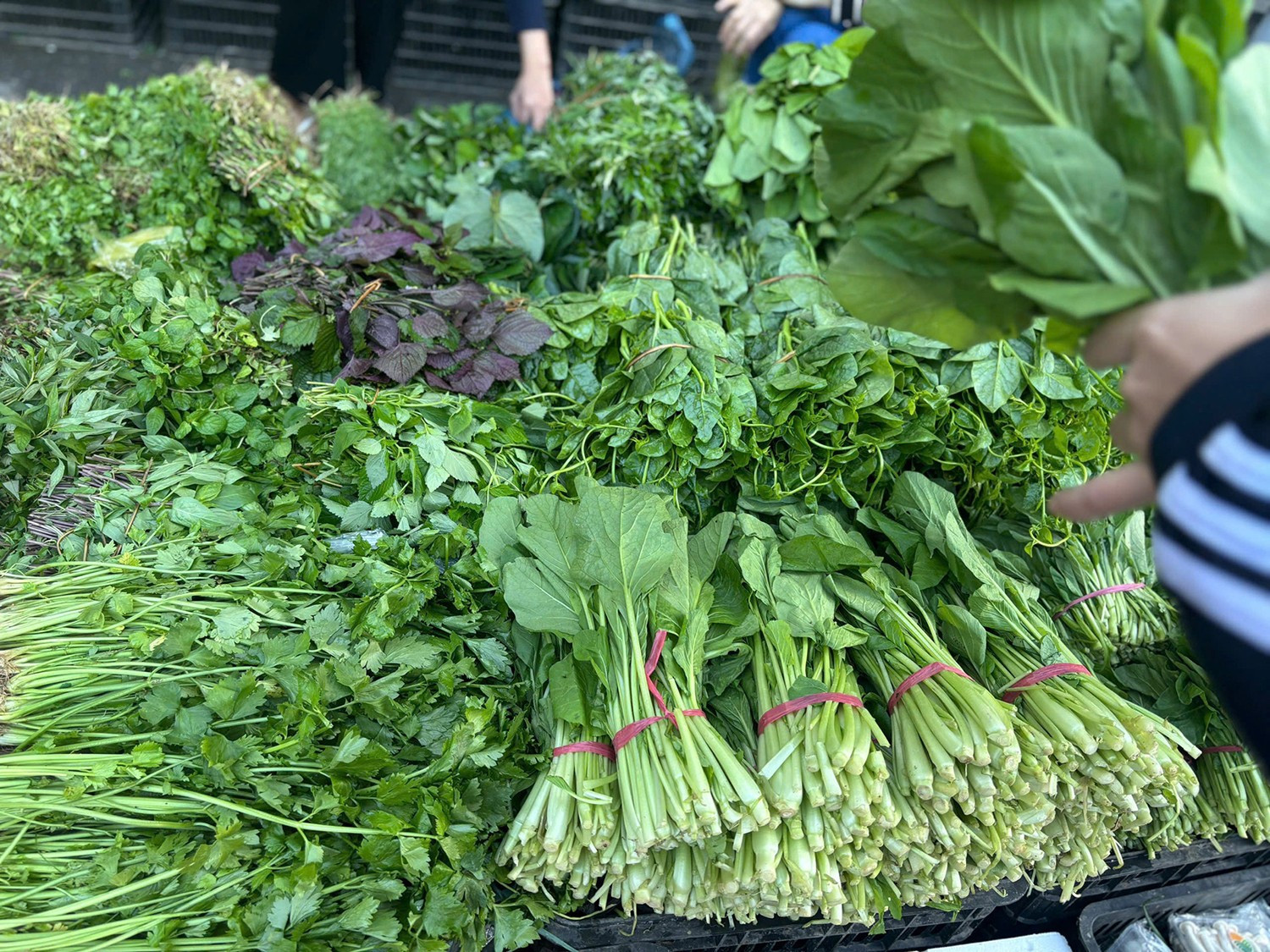 Giá thực phẩm 'kéo' CPI tăng